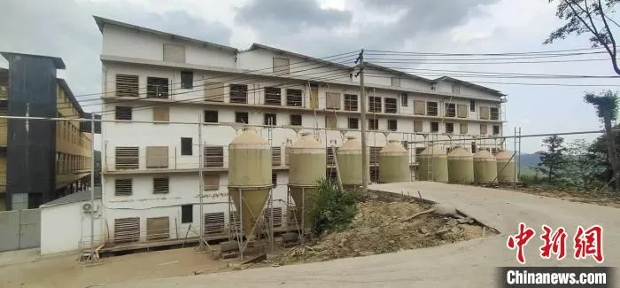 平阳联山村养猪场 乐清市融媒体中心供图