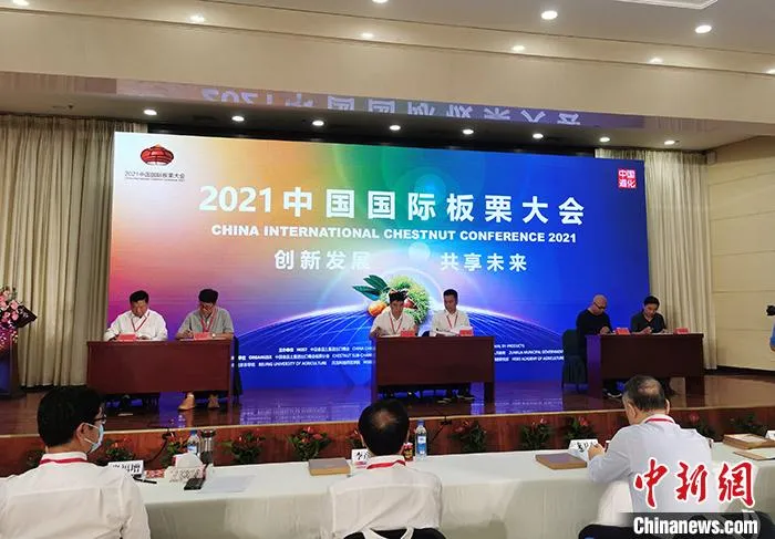 2021中国国际板栗大会现场。记者 陈溯 摄