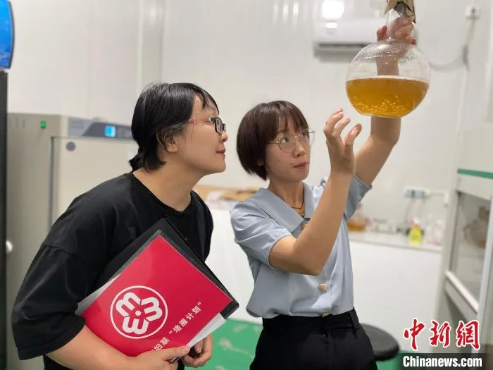 液体菌种接种养菌。　孟芳 摄
