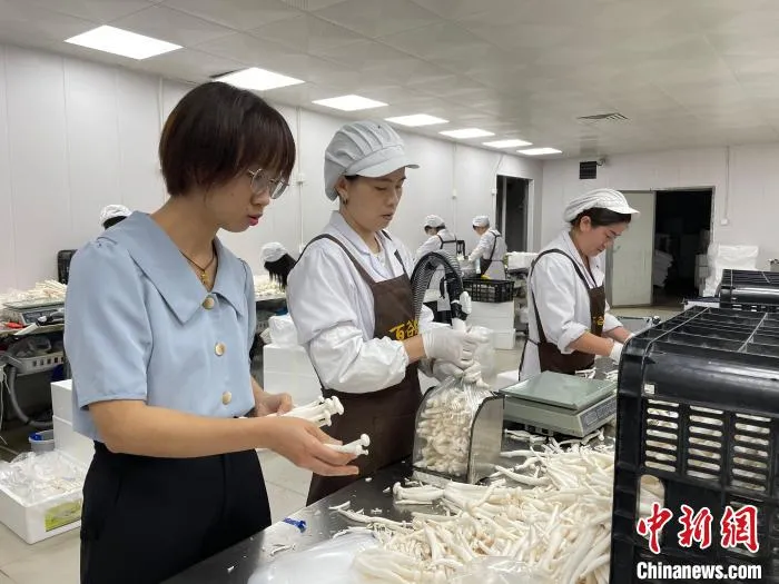 于艳帮助百余名妇女在家门口就业。　林春茵 摄