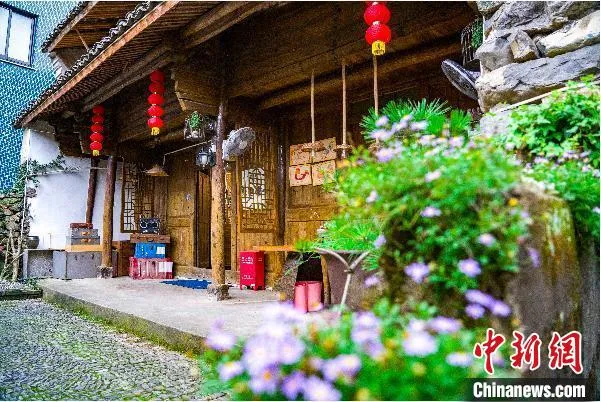 葛家村仙人掌酒吧。　徐铭怿 摄