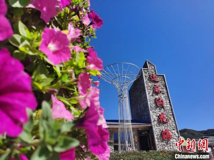 图为西宁市大通县边麻沟花海。　张添福 摄