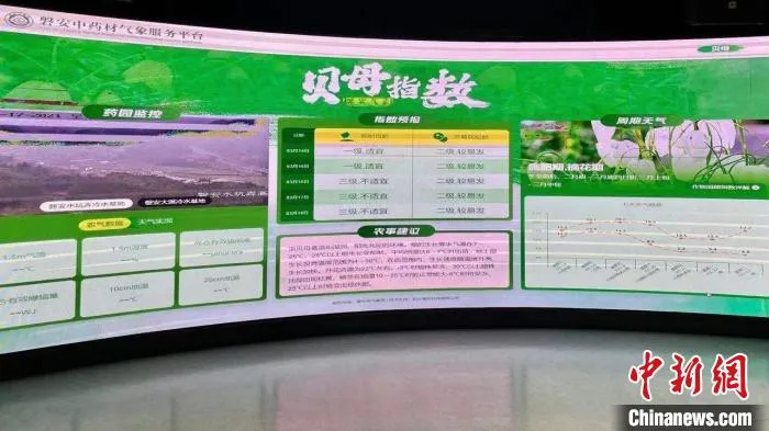 磐安中药材气象服务平台。　张斌 摄