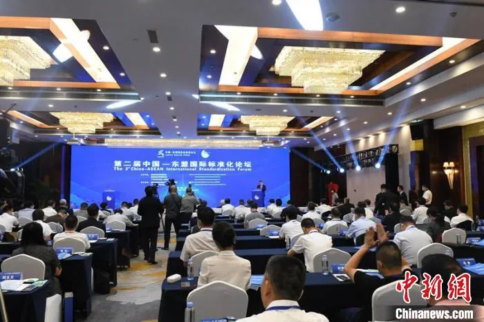 图为论坛现场 林浩 摄
