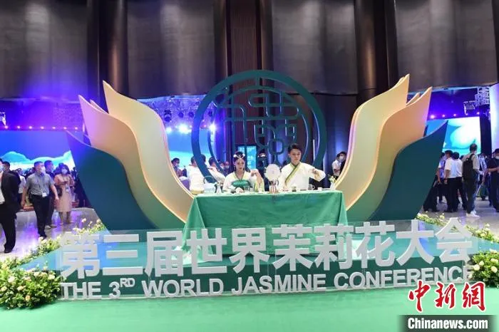 图为茉莉花主题文化展示 林浩 摄