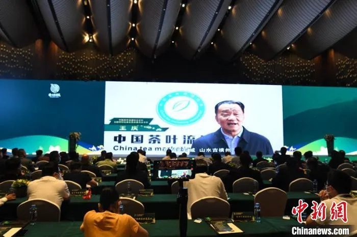 图为中国茶叶流通协会会长王庆通过视频致辞 林浩 摄