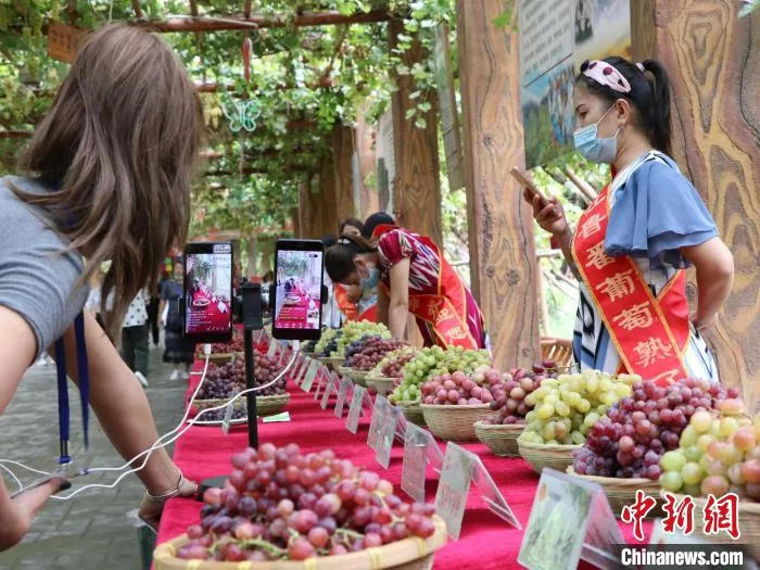 百余种葡萄出现在活动现场。吐鲁番葡萄种植面积达57万亩，年产葡萄120万吨，葡萄品种有500多种。　胡嘉琛 摄
