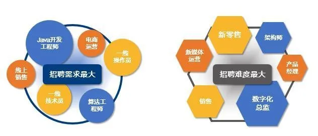 四成在沪企业2021下半年招聘扩张，新兴数字化岗位成热门需求。　中智咨询供图