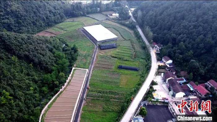 南漳县食用菌生产基地一角(资料图) 南漳县乡村振兴局提供