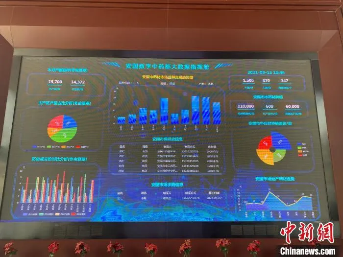 图为安国数字中药都大数据指挥舱 赵丹媚 摄