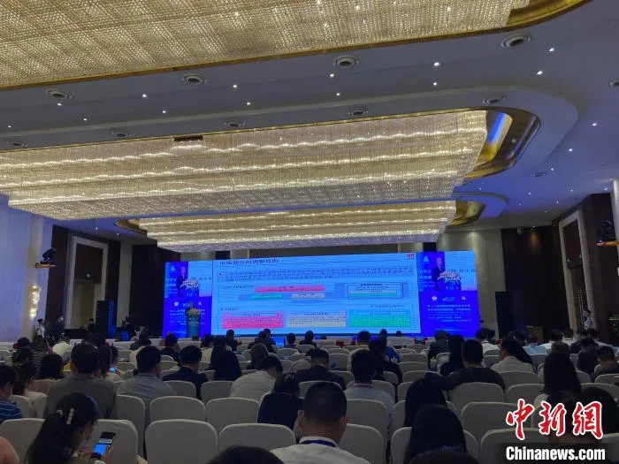 图为论坛现场。　陈静 摄