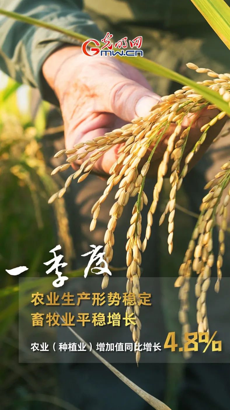 GDP同比增长4.8% 一季度多项重磅数据公布！