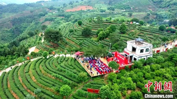 图为：2022年红茶文化节暨“尤溪中国数字红茶城”启动仪式活动现场鸟瞰图。　吴振湖供图
