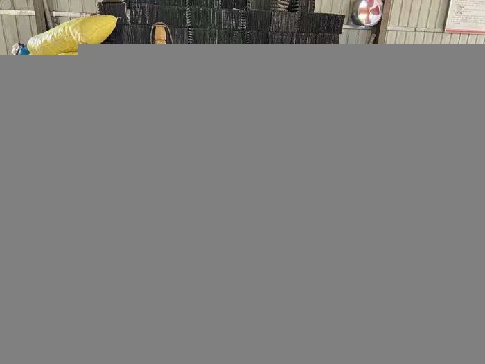 工人们正忙着分拣、包装、装箱、称重，包装好的西葫芦将被远销全国各地。　长子县融媒体中心提供