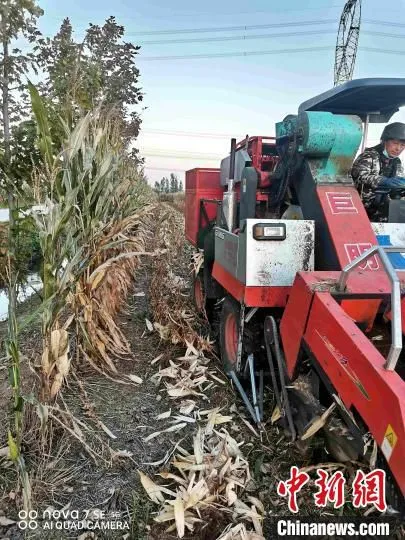 资料图：玉米大豆带状复合种植模式配套农用机具。　武海荣供图