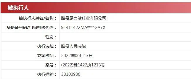 中国执行信息公开网信息截图。