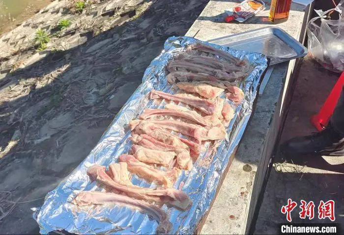 羔羊肉。　天衣 摄
