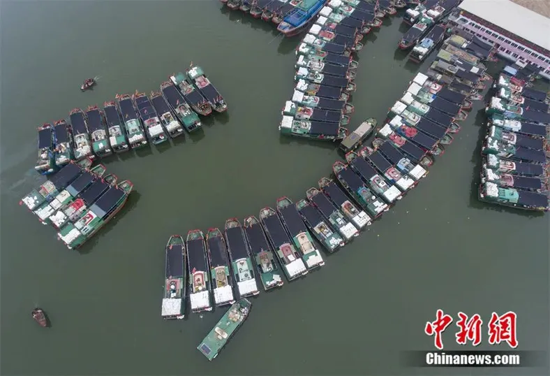 南海进入伏季休渔期，海口新港码头大批渔船回港靠泊。中新社记者 骆云飞 摄