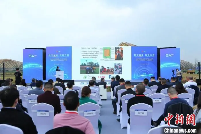 活动现场。　成都市新津区委宣传部供图