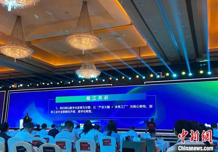 “瓯江共识”发布现场。　黄慧 摄