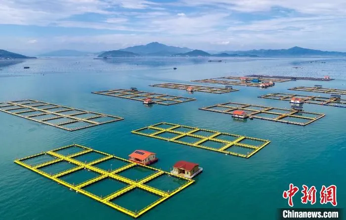 图为技术升级后的宁德蕉城区三都海域海上养殖渔排。　宁德市委宣传部 供图