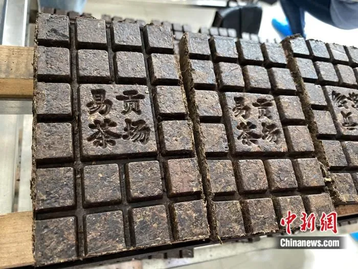 茶场生产的砖茶。彭宁铃 摄