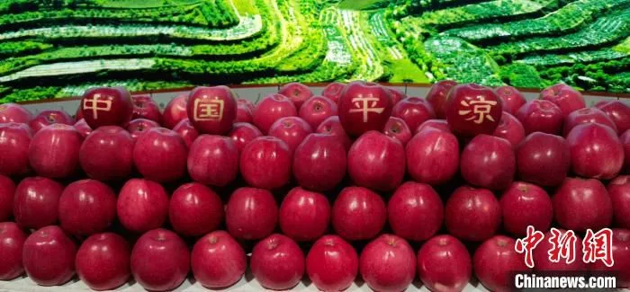 图为平凉苹果。　魏建军 摄