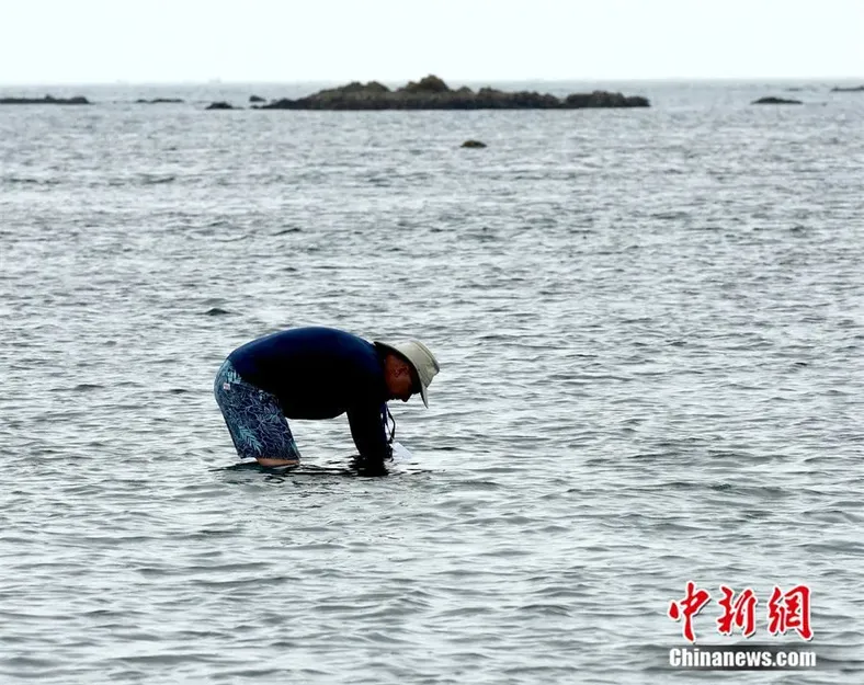 “蓝碳倡议”国际会议人员考察中国海洋生态环境。中新社发 杨志礼 摄