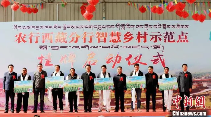 图为揭牌仪式现场。　达瓦次仁 摄