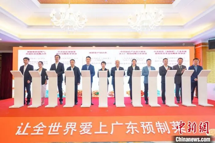 签约仪式 蓝东旭 摄