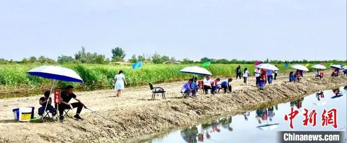 游客们参与垂钓比赛。　张少同 摄