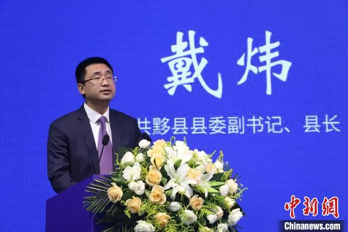 中共黟县县委副书记、县长戴炜分享该县民宿产业发展经验 刘浩 摄