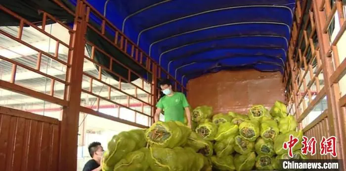 图为广西开通保供“绿色通道”，确保物流运输畅通 广西商务厅供图