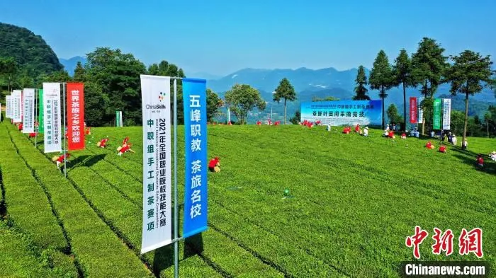 2021年全国职业院校技能大赛中职组手工制茶赛项开赛 周星亮 摄