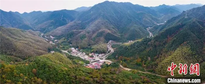 金华婺城区沙畈乡。　 陈俊 摄