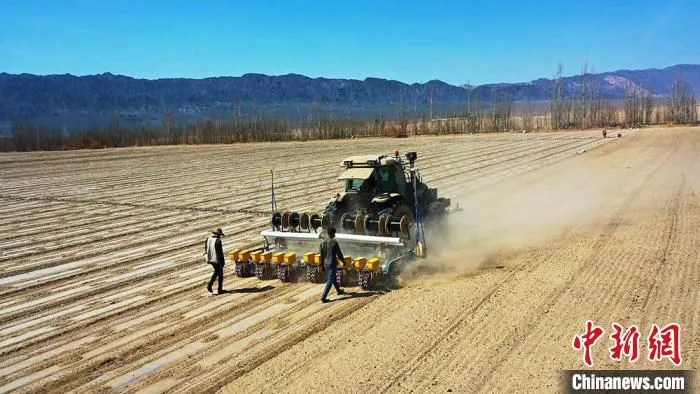 棉花种播种机正在播种。　胡国凯 摄