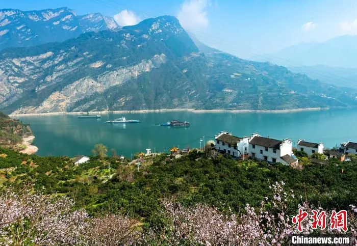 三峡水库一库清水东流。　郑家裕 摄