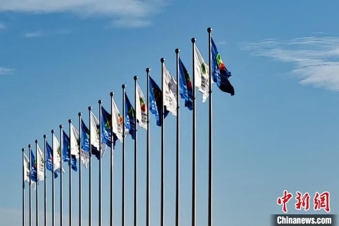 第五届中国—阿拉伯国家博览会开幕式现场。　谢宇 摄