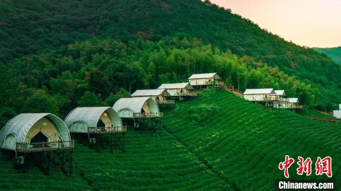 湖州奇幻谷茶野里露营地。　安吉县文化和广电旅游体育局供图