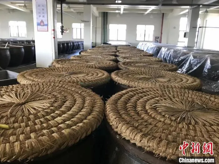 绍兴黄酒生产线一景 李典 摄