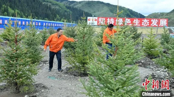 久马高速建设者在苗木验证试验基地查看树木生长情况。　刘忠俊 摄