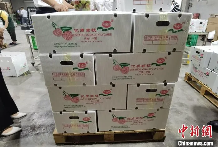图为惠州出口荔枝。　惠州市农业农村局供图