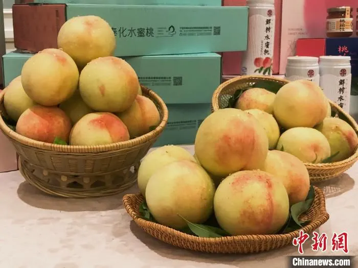 奉化水蜜桃。　林波 摄