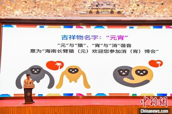 消博会吉祥物意为“海南长臂猿(元)欢迎您参加消(宵)博会”。　骆云飞 摄
