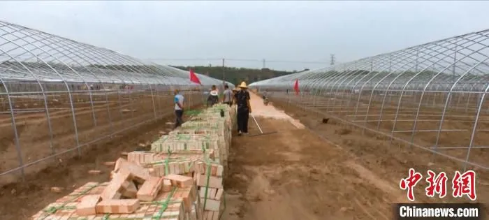 南合流村干群同心，50天建起34座拱棚。　梁维超 摄