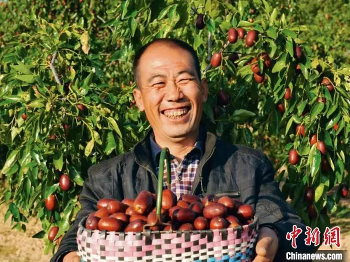 资料图。围绕红枣，临县开发出多种业态。　临县新闻办供图