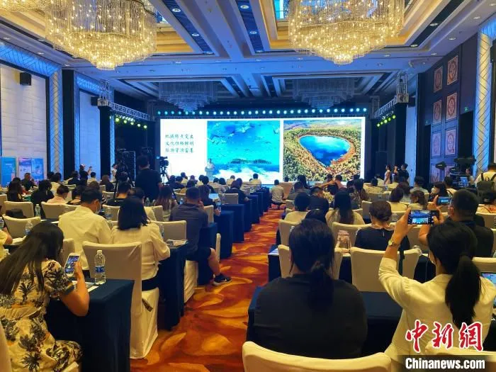 图为推介会现场。　张玮 摄