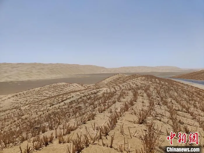 公路两边防风固沙的草方格也早已铺设完毕，铺设总面积达5800多万平方米。　喇小飞 摄