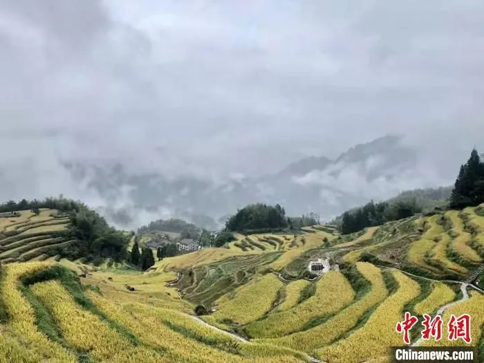 云和梯田 葛铭锐 摄