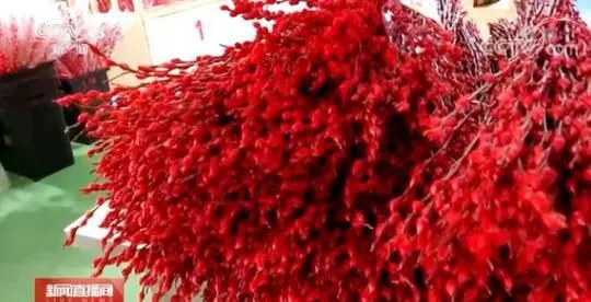假期消费市场观察 | 两节至 年味浓 鲜花扮靓城乡生活